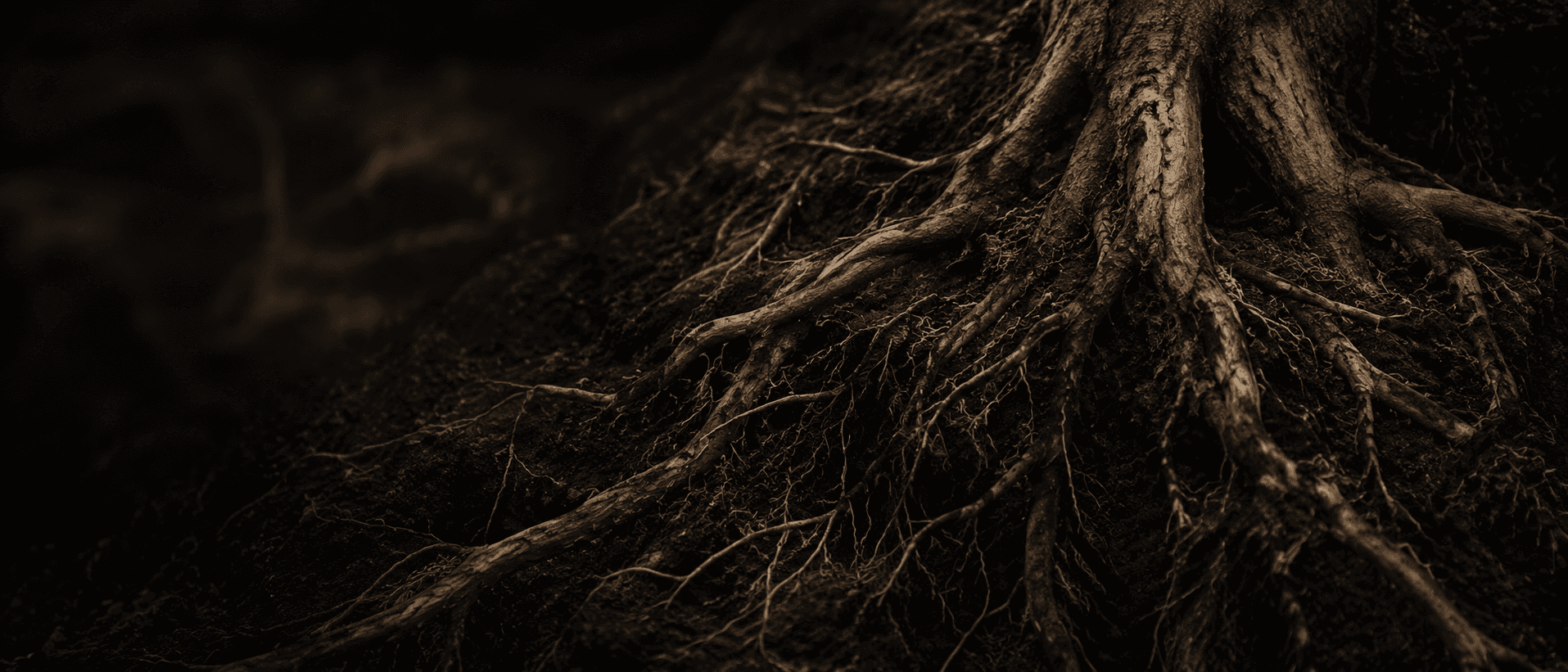Deep roots in earth